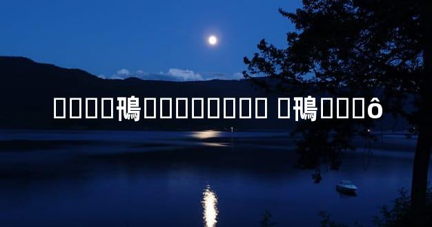 ����鳵��ɶ�ӽ��� �鳵��ʲô